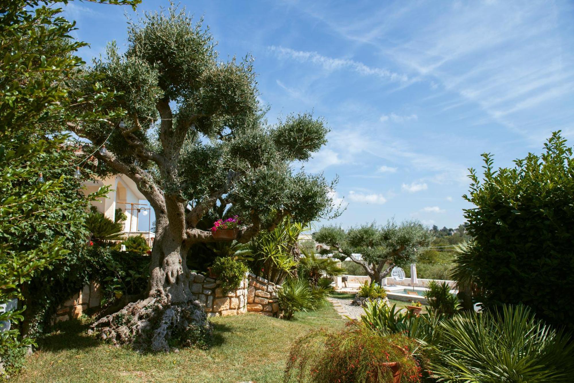 Holiday Home Cosimo Locorotondo Exteriér fotografie